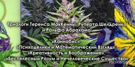 Теренс МакКенна - Истые Галлюцинации